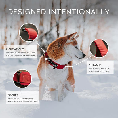 MADE TO ROAM Premium Everyday Dog Collar - Martingale Style No Pull Vegan Leather Collar, Heavy Duty and Lightweight for Small, Medium, Large Dogs (Oregon Haze, Size 6)