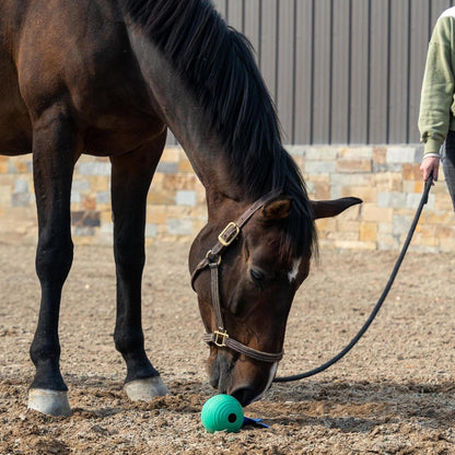 KoreFlex Ball & Tail - Horse-Equine Toy, 4.75" Green Ball, Shape Maintaining Rubber, Durable Strap, Treat Stuffing Center, Toss-Bounce-Play