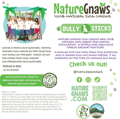 Nature Gnaws Extra Thin Bully Sticks for Small Dogs 5-6" (10 Count) - Long Lasting for Light Chewers and Puppies - Natural Beef Dog Chew Bones