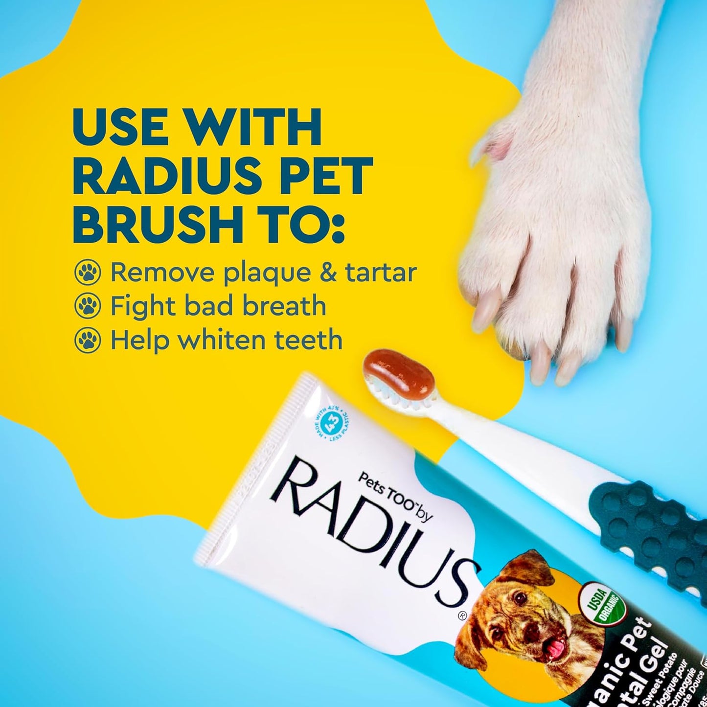 RADIUS Canine Pet Toothpaste, Cinnamon Sweet Potato, 3 oz, Non-Toxic Toothpaste for Dogs, Designed to Clean Teeth, Help Prevent Tartar, & Remove Plaque, Xylitol Free, Pack of 2