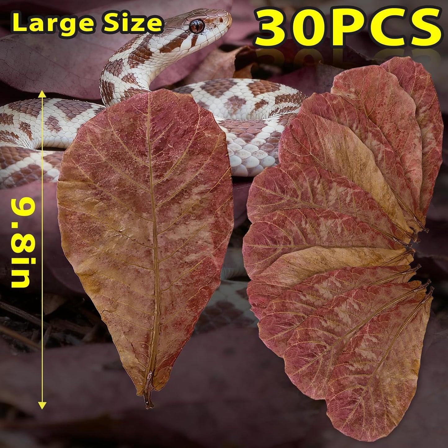 30PCS Premium Indian Almond Leaves - 9.8in Large Catappa Leaf for Snakes, Betta Fish, Shrimp, Aquarium - Release Natural Tannins, Water Softener, Bioactive Leaf Litter for Corn Snake, Ball Python