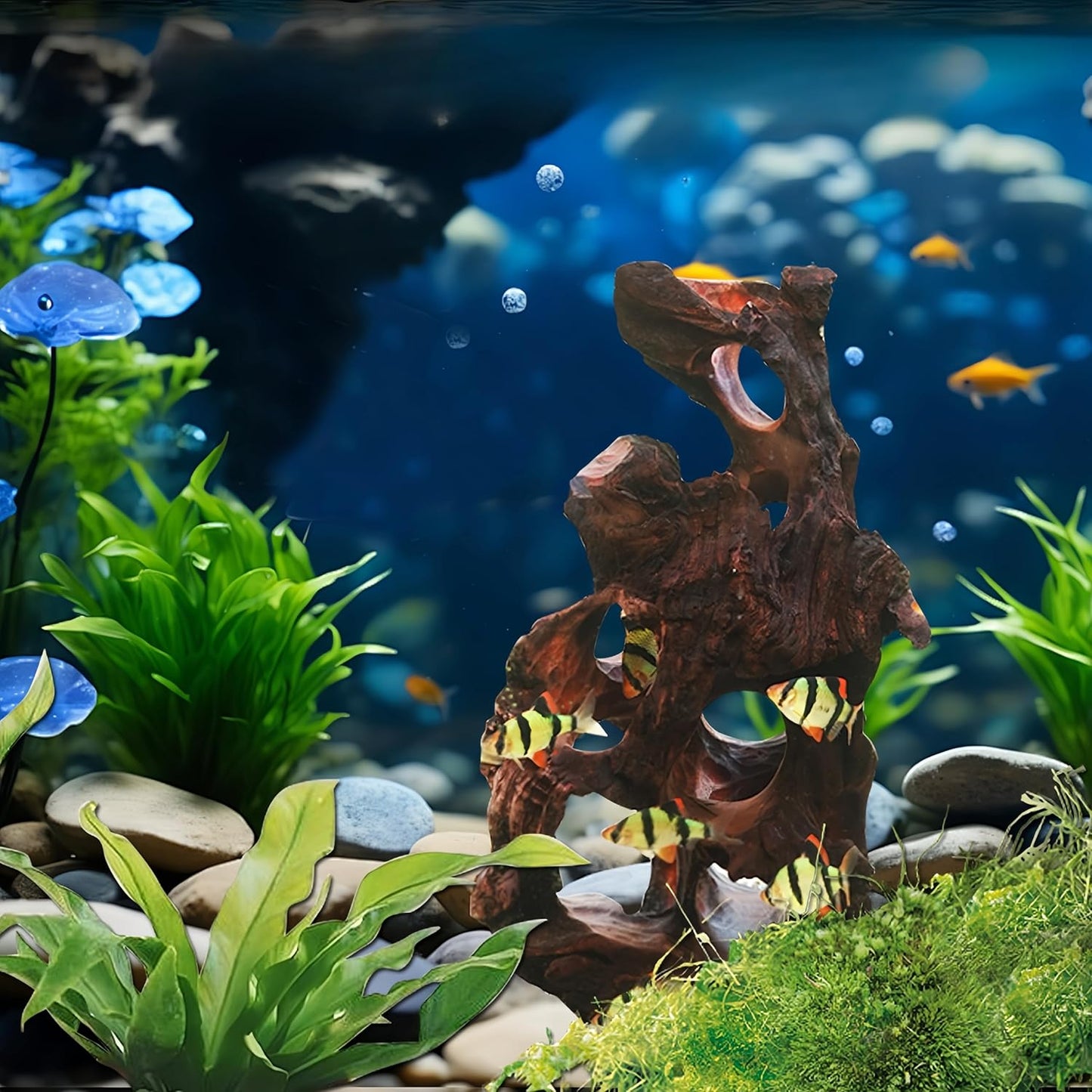 Natural Wood Aquarium Cave Betta Fish Hideout for Aquarium Fish Tank Decorations-Reptile Hide-Snake Hide-Cave for Cichlids Habitat Shelter for Crayfish Shrimp and Other Aquatic Pets 6.1-9.8"