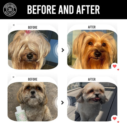 Itchy Dog Flea and Tick Shampoo 300ml – Plant-Based Gentle Dog Shampoo – Flea & Tick Care for Dogs – Cleanses & Freshens Coat – for Sensitive Skin – by C&G Pets