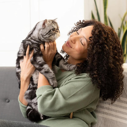 Open Farm, Kitty Cubes, Freeze Dried Raw Cat Treats, Grain-Free, High-Protein Cat Treat with Probiotics, Omega Fatty Acids & Superfoods, Salmon & Mackerel Recipe, 1.5oz Bag