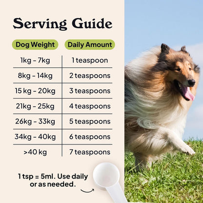 Barsk Wild Alaskan Fish Oil for Dogs & Cats - Supports Itchy Skin Relief, Shiny Coat, Joint & Heart Health – Salmon Oil Formula High in Omega-3, EPA & DHA – Tasty Cat & Dog Food Toppers for Dry Food