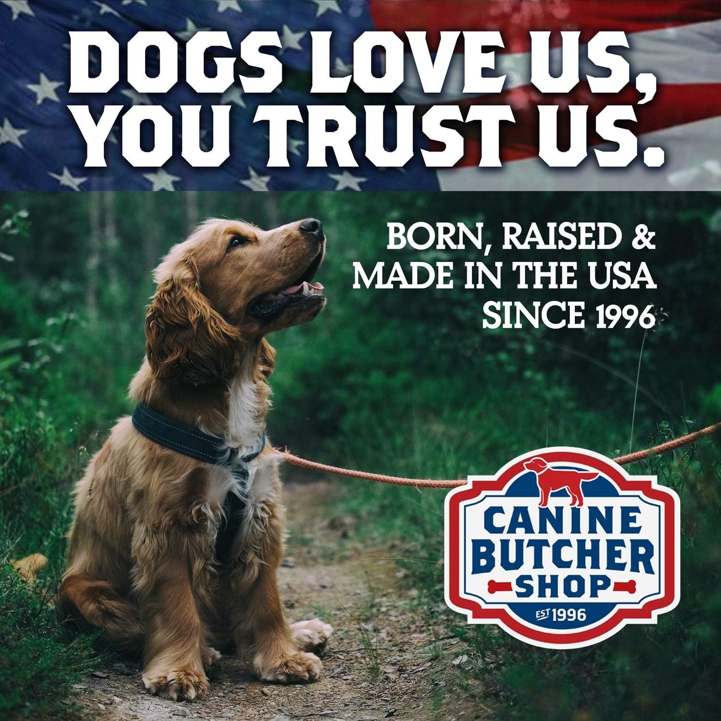 Pig Ears for Dogs, Always USA Made (30-Pack), All Natural, Sourced in USA Pig Ears, Digestible Pork Dog Chew Treat