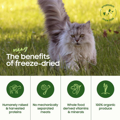 Freeze-Dried Raw Cat Food, Shelf Stable Food Bites, Chicken Recipe, High Protein Meal or Topper for Cats, Humanely Raised Meat, Organic, Non-GMO Produce, Made in The USA, 10oz Bag