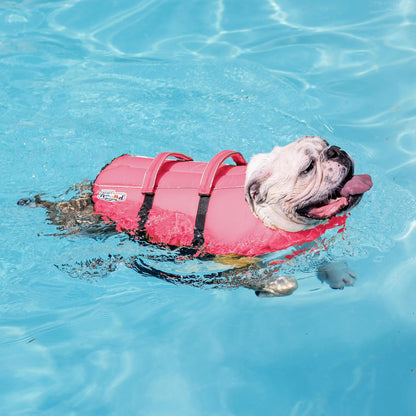 Outward Hound Granby Splash Dog Life Jacket, High-Buoyancy Dog Life Vest for Swimming, Boating, and Water Safety, Large, Pink