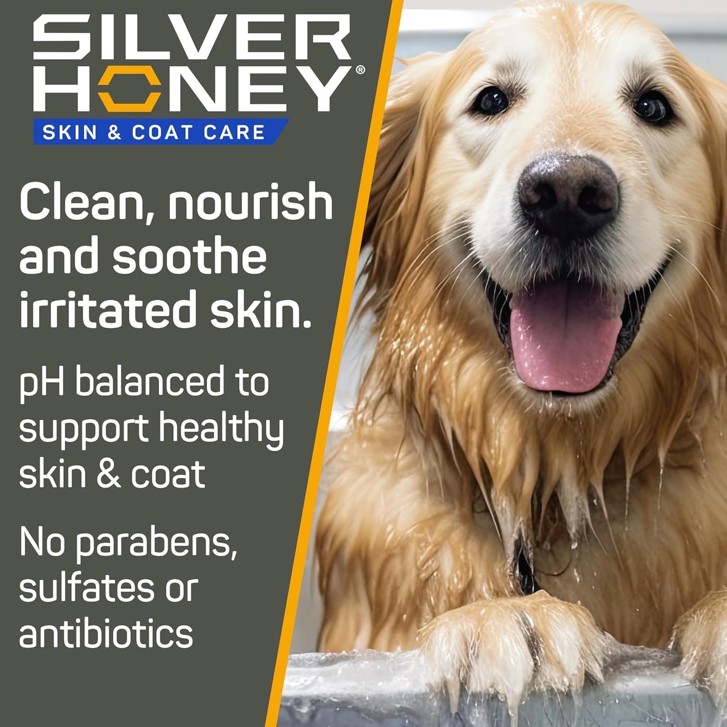 Silver Honey Nourish & Soothe Leave-in Conditioner 16 fl oz, Dog & Cat Skin & Coat Care, Natural Manuka Honey + MicroSilver BG, Pump Bottle
