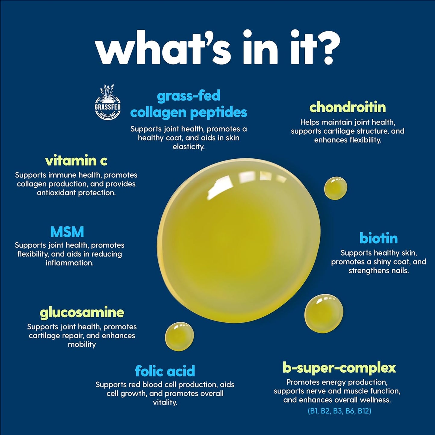 Taily Multivitamin with Liquid Collagen for Dogs and Cats – 12-in-1 Super Daily Formula for Joint, Gut, Allergy, Immune, Skin, Coat, and Urinary Tract Support - Liquid Collagen, Glucosamine for Dogs