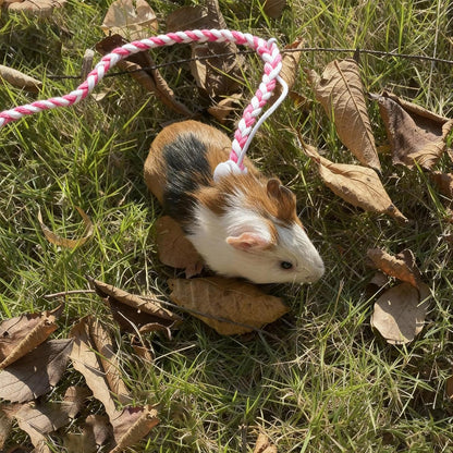 3 Pack Adjustable Hamster Leash Harness for Ferret Mouse Squirrel Small Animal