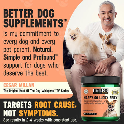 Better Dog Supplements Happy-Go-Lucky Belly by Cesar Millan – Natural Digestive Support Powder for Dogs – Upset Stomach Relief, Gut Balance & Regularity with Herbal Fiber Blend – 4oz (60-Day Supply)