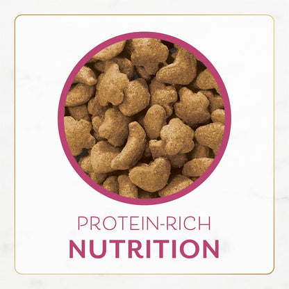 Fancy Feast Purina Filet Mignon Flavor with Real Seafood & Shrimp Dry Cat Food (7 Ounce (Pack of 1))