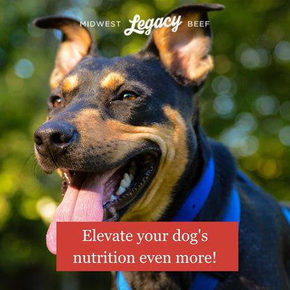 Freeze Dried Raw 100% Beef Dog Food | Premium High Protein Healthy Nutritious Dog Food | Complete & Balanced Meal, Natural Source of Vitamins and Minerals, 8 Oz