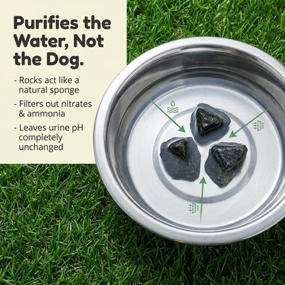 Dog Rocks for Urine Burning Grass - 200g Natural Pet Rock to Help Maintain Green Lawn - Grass Savers for Dog Urine - 2 Month Supply for Use in Water Bowls or Yard