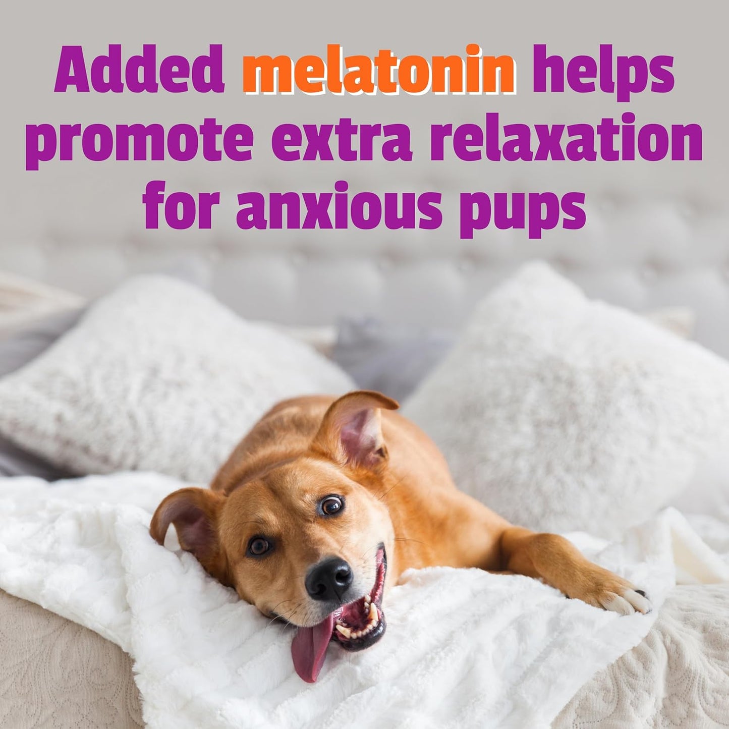 Pet Naturals BusyButter Extra Strength Calming Peanut Butter for Dogs - Great for Dog Toys, Lick Mats, Training, Calming Treats, Dog Anxiety Relief, Grooming, Treats and More - 1 6oz Pouch