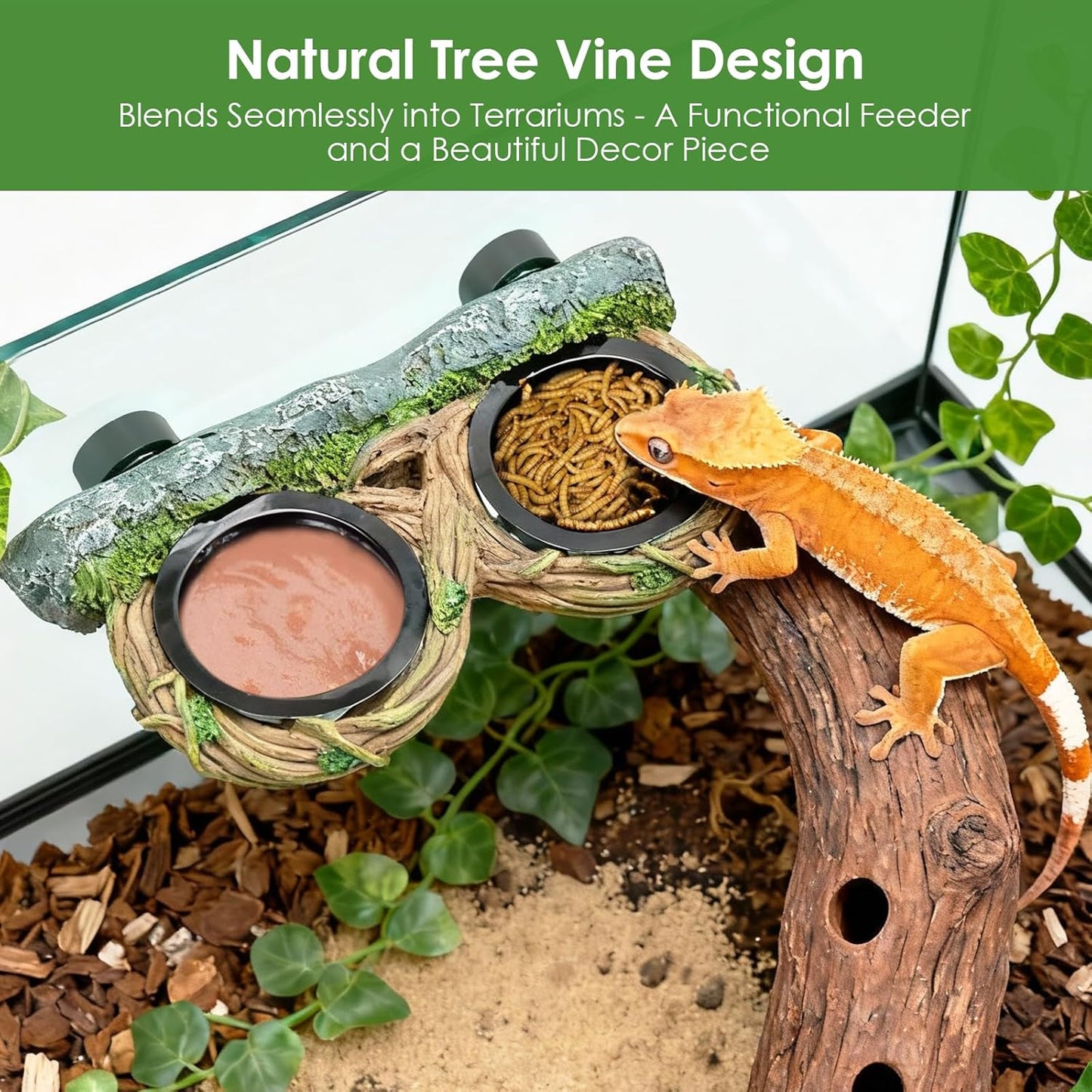 MIXJOY Magnetic Crested Gecko Feeding Ledge with 4PCS Feeding Cups, Reptile Feeder Ledge with Double Bowls Design, Hollow Vine Look, Reptile Food Water Dish for Bearded Dragon Lizard Chameleon Snake