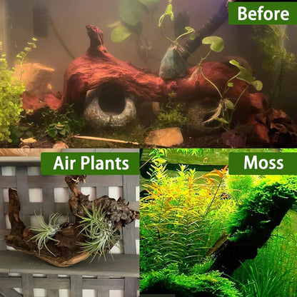 Tfwadmx Aquarium Natural Driftwood Decor Wood Branches, 2 Pieces 8.5-12" Fish Tank Driftwood Decoration, Terrarium Mopani Wood for Aquarium Freshwater Reptile Tank