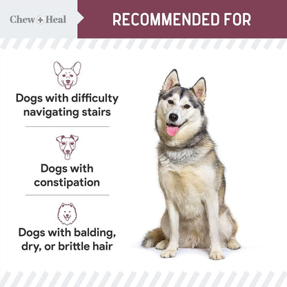 12-in-1 Multivitamin for Senior Dogs - 120 Senior Dog Vitamin and Supplement Soft Chews for Hip and Joint - Advanced Formula with Glucosamine, Omega 3,6,9, Vitamins, Probiotics - Made in The USA