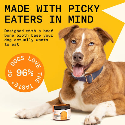 5-in-1 Dog Probiotic Powder – 100% Natural Gut Health Support with Prebiotics, Postbiotics & Enzymes – Crafted by Dog Nutritionist Kayla Kowalski, Made in USA – 30 Scoops
