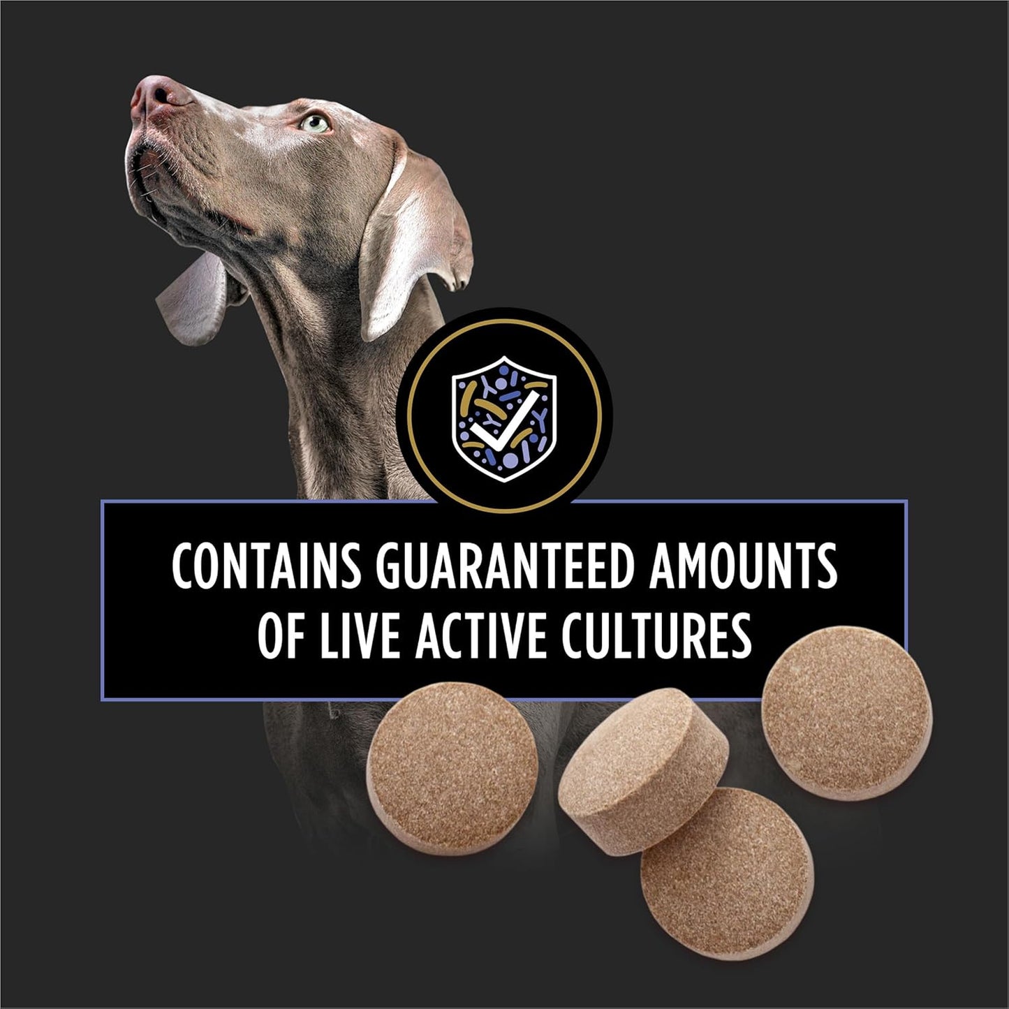 Purina Pro Plan Veterinary Supplements FortiFlora Probiotics for Dogs Chewable Tablets for Digestive Gut Health and Diarrhea - 45 ct. Canister