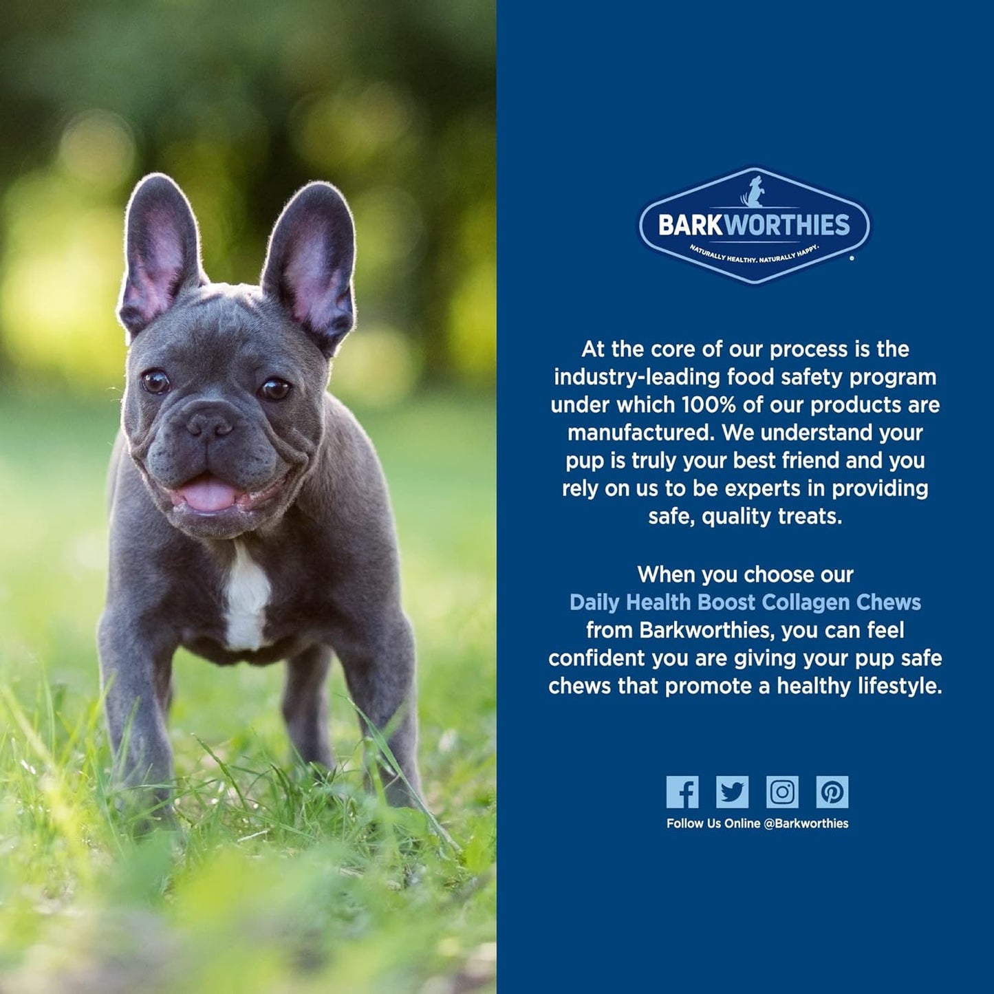 Barkworthies Plain Collagen Sticks - 6 Inch 8 Count (Pack of 1) - Long-Lasting, Single Ingredient