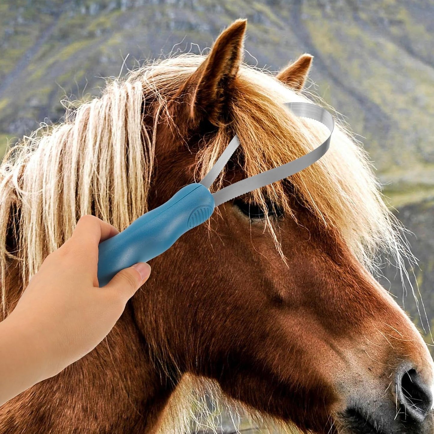 Horse Grooming Brush Stainless Steel Shedding Scraper for Equines and Cattle Portable Deshedding Tool and Itch Relief in Stables