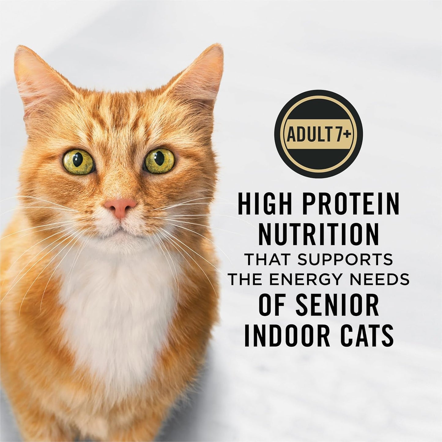 Purina Pro Plan Adult 7 Plus Indoor Chicken and Rice Formula High Protein Cat Food - 7 lb. Bag