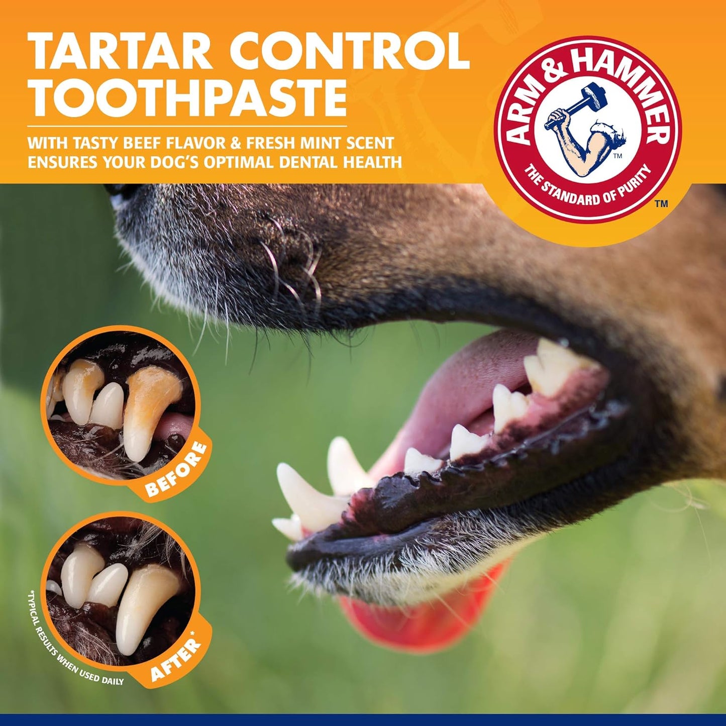Arm & Hammer for Pets Tartar Control Enzymatic Toothpaste for Dogs Reduces Plaque & Tartar Buildup Safe for Puppies Beef Flavor, 2.5 Ounces Dog Toothpaste (Pack of 72)