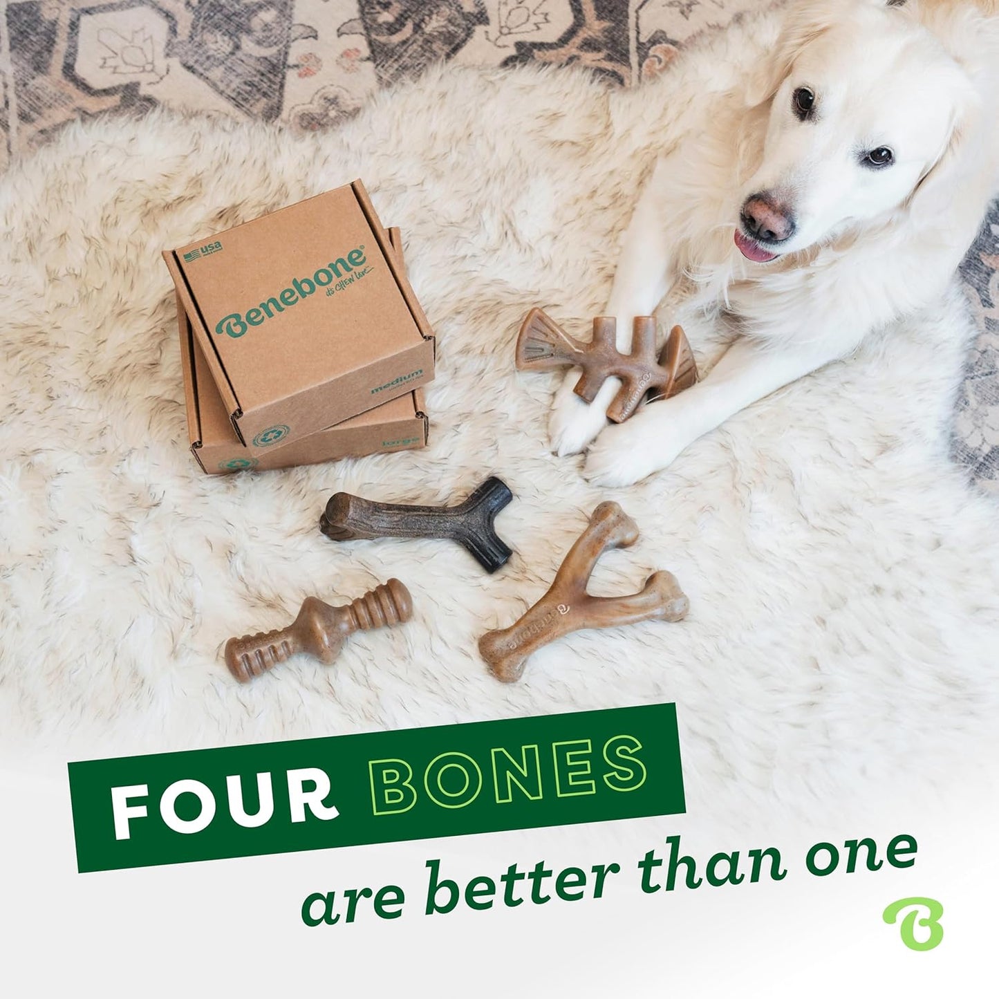 Benebone Large 4-Pack Dog Chew Toys for Aggressive Chewers, Made in USA, 90lbs and Under