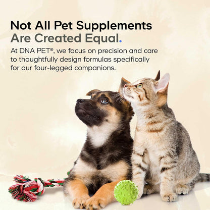 Beef Bone Broth Powder for Dogs Supplement – Grass-Fed Beef with Canine Probiotics (Bacillus coagulans & Bacillus subtilis) - Canine Joint & Gut Wellness Support – All Breeds & Sizes – 3.17 oz