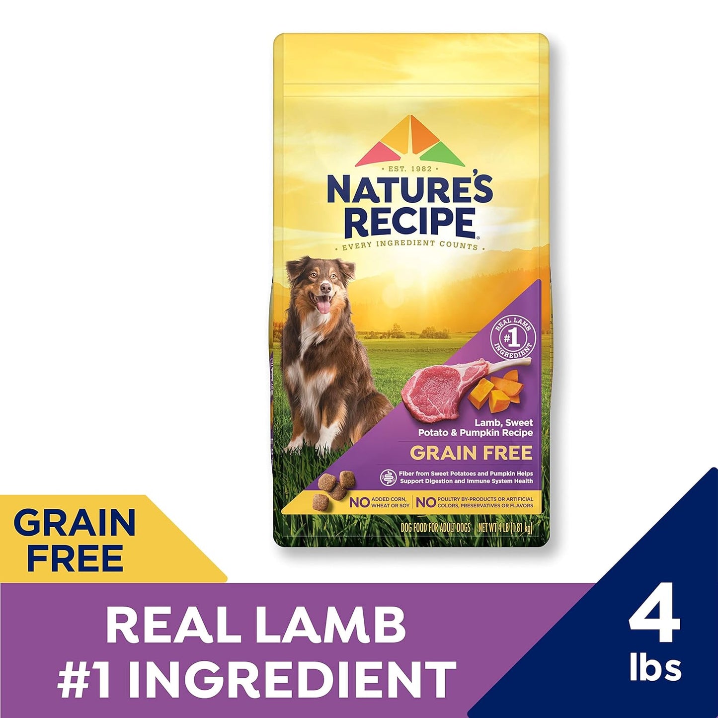 Nature′s Recipe Grain Free Lamb, Sweet Potato & Pumpkin Recipe Dry Dog Food, 4 lb. Bag (Pack of 2)