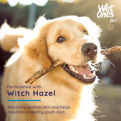 Wet Ones for Pets Hypoallergenic Face Cleansing Pads for Dogs, Fragrance Free - Small, Disposable Round Dog Face Cleaning Wipes, Extra Gentle, 50 Count (Pack of 2)