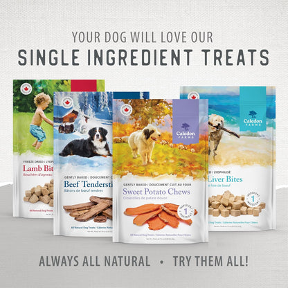 Caledon Farms Sweet Potato Chews for Dogs 9.3 OZ