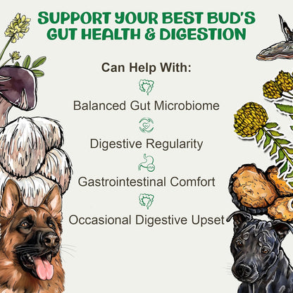 MycoDog Digest - Digestive Support Mushroom Supplement for Dogs - Holistic Gut Support - Adaptogens & Functional Mushrooms for Microbiome Balance, Probiotic Alternative
