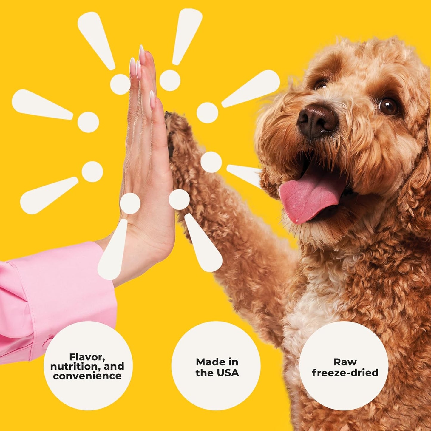 Bow Wow Beef - Freeze Dried Raw Dog Food, Complete Meal & Topper, Beef Liver and Kidney Bites for Training - High Protein (21g Per Cup) - Best Dog Stocking Stuffers, Made in The USA, 8oz Bag