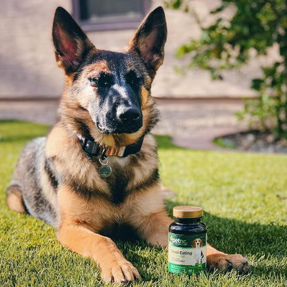 PetNC Natural Care Stool Eating Deterrent Chewables for Dogs, 60 Count