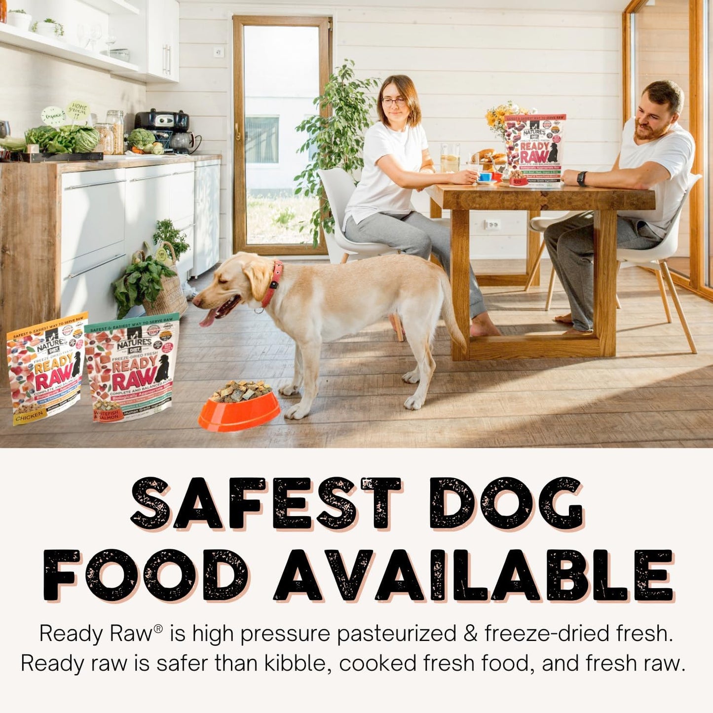 Nature's Diet Ready Raw : Freeze-Dried Raw Dog Food, Salmon & Whitefish, Human Grade, High Pressure Pasteurized (HPP), 96% Meat, Organ, Bone, Safe & Natural, Dry or Wet Feeding