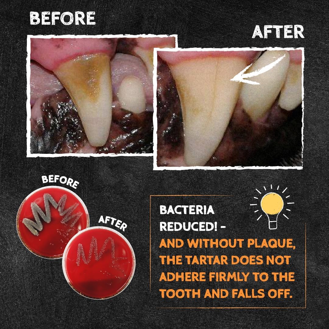 QCHEFS Dental Flakes for Dogs – One Month Supply* - Food Topper - After Meal Licking Treat, Oral Health Snack with Amino Acids.