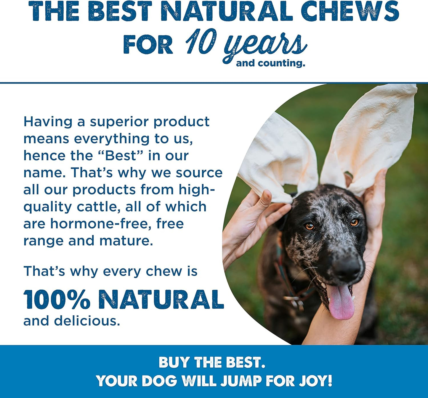 Best Bully Sticks Thick-Cut Cow Ears for Dogs - 12 Count (Pack of 1) - Natural, Free-Range Grass-Fed, Single Ingredient, High Protein, Easily Digestible, Great for Various Breeds