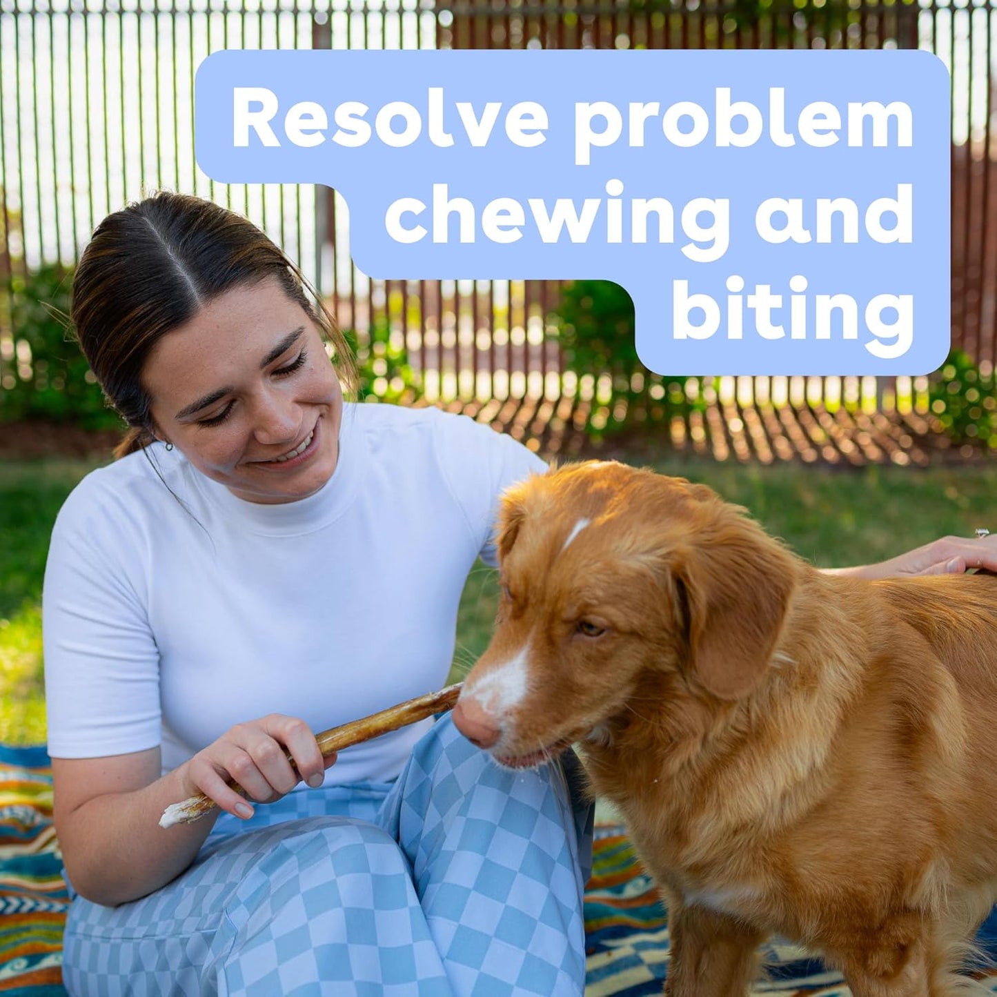 Pupford Thick Bully Sticks for Dogs & Puppies, Smoked for Improved Smell, Natural, Long-Lasting, Single Ingredient Chews for Small & Medium Breeds (6", 20 Count)