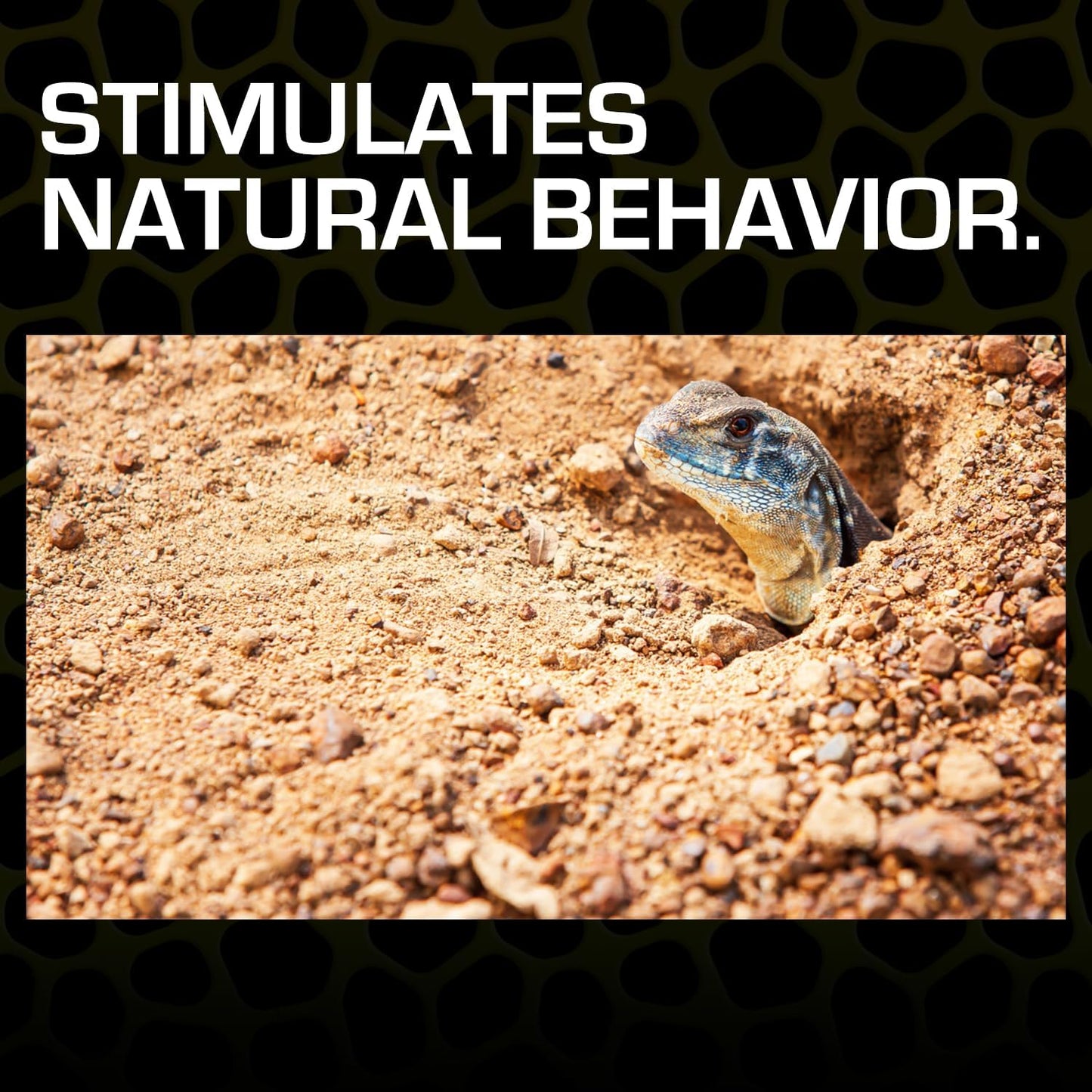 Exo Terra Desert Sand, 10-Pound, Red for All Breed Sizes