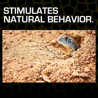 Exo Terra Desert Sand, 10-Pound, Red for All Breed Sizes