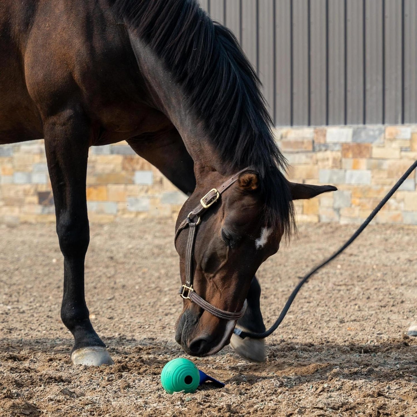 KoreFlex Ball & Tail - Horse-Equine Toy, 4.75" Green Ball, Shape Maintaining Rubber, Durable Strap, Treat Stuffing Center, Toss-Bounce-Play