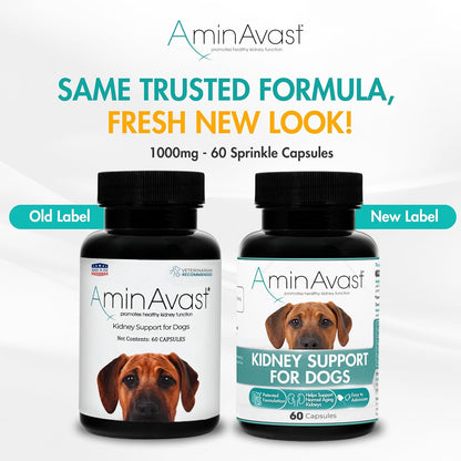 AminAvast Dog Kidney Supplement - Supports Natural Kidney Function - Promotes Health & Vitality of Aging Kidneys - Pet-Friendly, 1000mg, 60 Capsules.