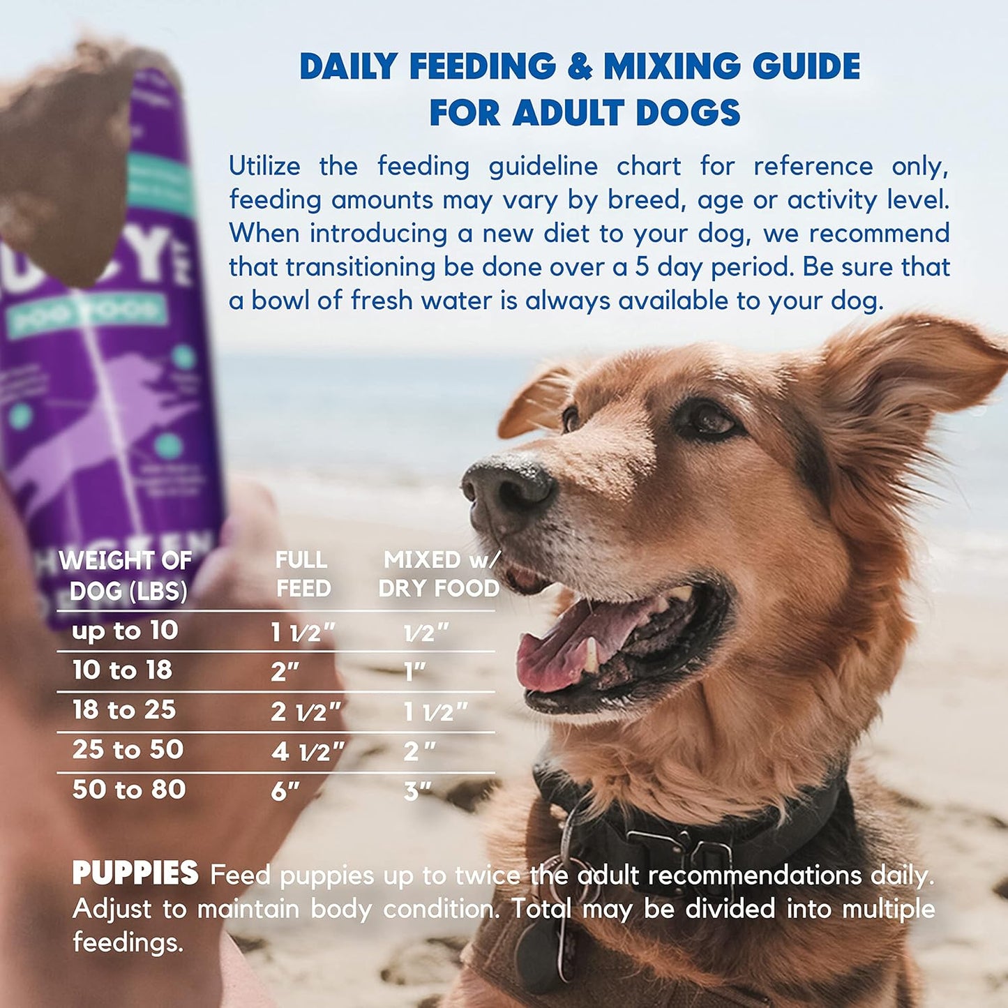 Lucy Pet Products Chicken Formula Dog Food Roll 4 lb, Meaty, Semi-Moist Dog Food (100600075)