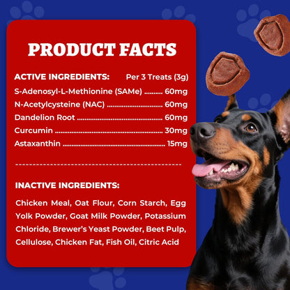 260 Bites Wellix Liver Support for Dogs - Milk Thistle for Dog Liver Supplements with Omega-3 - Supports Heart & Antioxidant for Large,Small Breed Fogs -Chicken Flavor