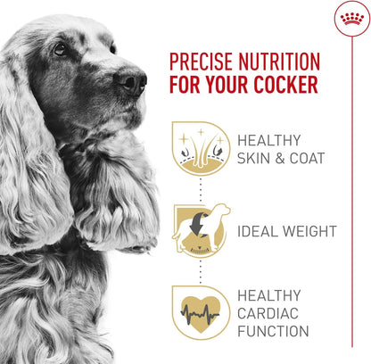 Royal Canin Breed Health Nutrition Cocker Spaniel Adult Dry Dog Food, 6 lb Bag