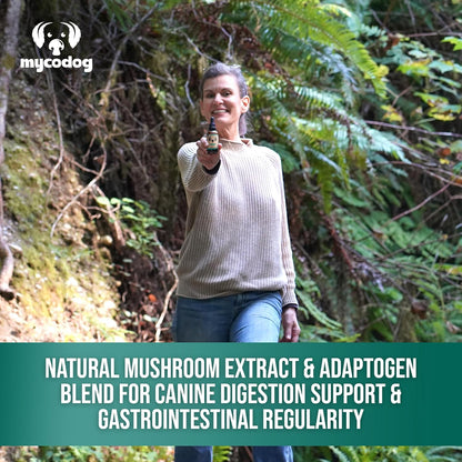 MycoDog Digest - Digestive Support Supplement for Dogs - Gut Health & Microbiome Balance - Probiotic Alternative with Functional Mushrooms and Adaptogens