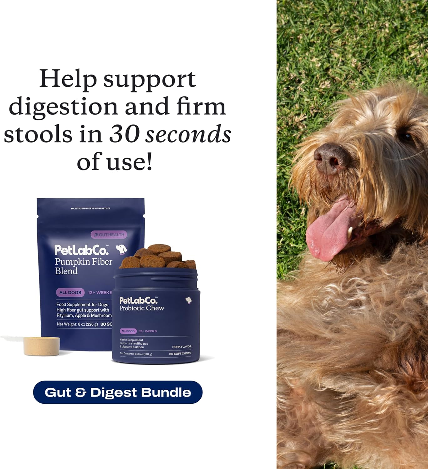 PetLab Co – Gut & Digest Bundle: Pumpkin Powder Blend for Firm Stools & Healthy Digestion. Pork-Flavored Probiotic Chews to Support Gut & Immune Health – Easy to Use – Advanced Formulas